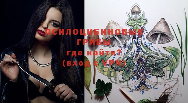 гидра Няндома