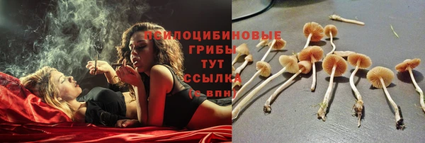 Альфа ПВП Абдулино